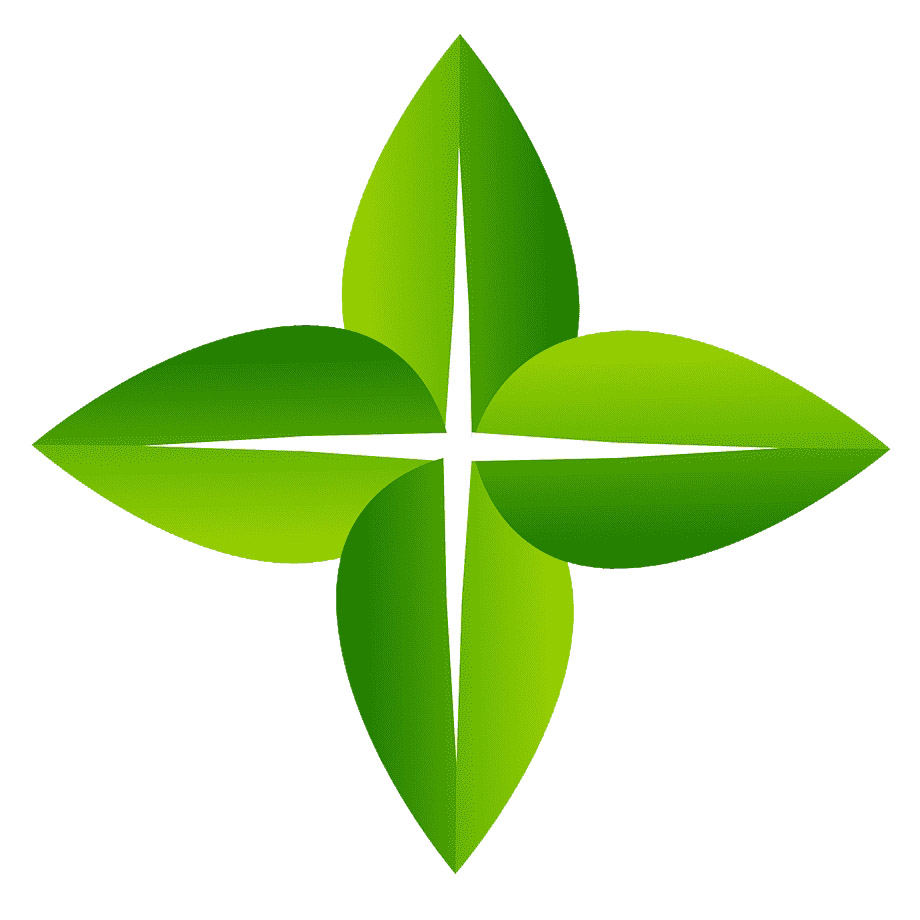 Highlights in (Geo)Botany / Plant Ecology