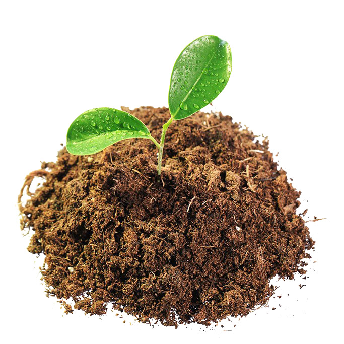 Highlights in Soil Science and Land Use