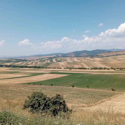 Big Fields