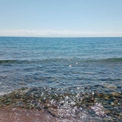 Img 20221004 125055 1