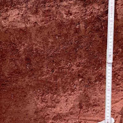 Red Soil
