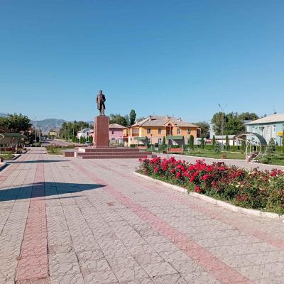 Talas